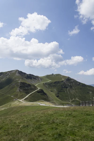 のどかな夏の山の風景と索道 — ストック写真