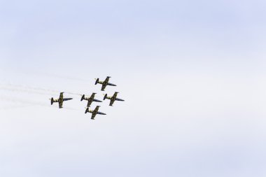 Baltık arılar Jet takım uçan