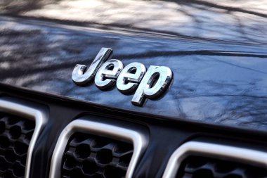 7 Aralık 2025 'te Prag, Çek Cumhuriyeti' nde kaputa ağaç dalları olan araba üzerindeki jip şirketi logosu yansıdı..