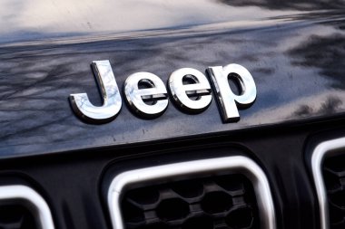 7 Aralık 2025 'te Prag, Çek Cumhuriyeti' nde kaputa ağaç dalları olan araba üzerindeki jip şirketi logosu yansıdı..