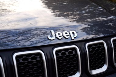 7 Aralık 2025 'te Prag, Çek Cumhuriyeti' nde kaputa ağaç dalları olan araba üzerindeki jip şirketi logosu yansıdı..