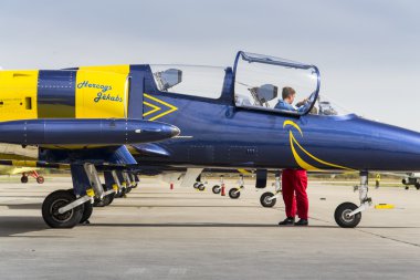 Baltık arılar Jet ekibi ile Aero L-39 Albatros bir pist üzerinde duran uçak