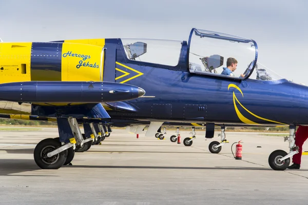 Baltic Bees Jet Team with Aero L-39 Albatros planes standing on a runway — Stock Photo, Image