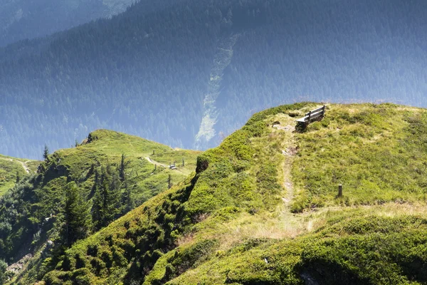 板凳与田园夏天在奥地利阿尔卑斯山景观 — 图库照片