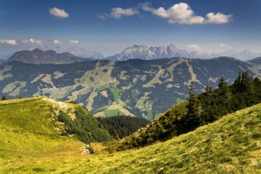 En yüksek tepe Birnhorn pastoral yaz ile Leogang Dağları Alps manzara