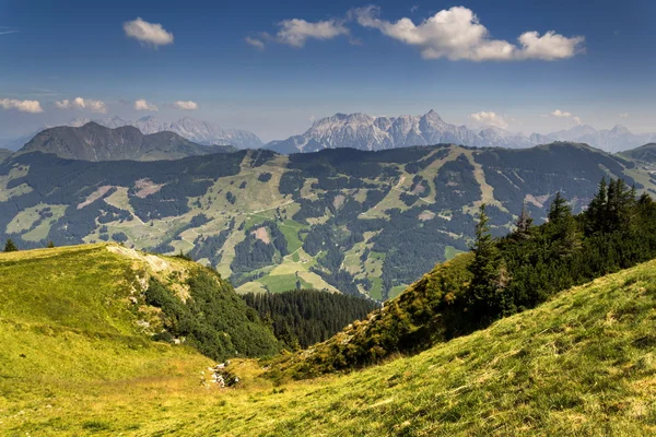 Горы Леоганг с самой высокой вершиной Birnhorn идиллический летний пейзаж Альпы — стоковое фото