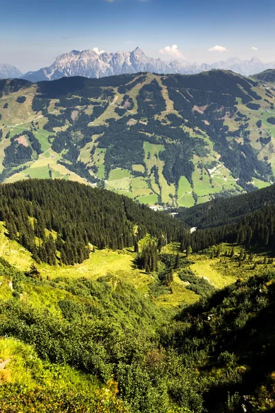 Leogang berge mit höchstem gipfel birnhorn idyllische sommerlandschaft alpen — Stockfoto