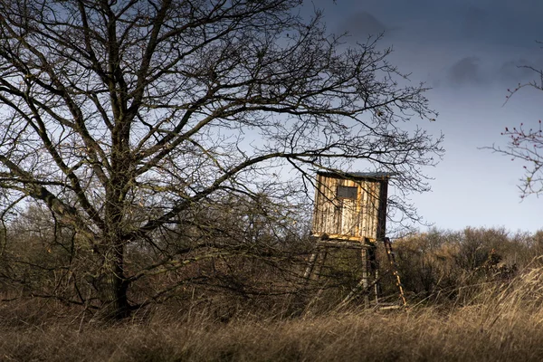 Wooden hunters high seat hide in forest — Stock Photo, Image