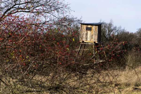 Houten jagers hoge stoel verbergen in bos — Stockfoto