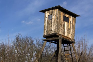 Ahşap avcılar yüksek koltuk ormanda gizle