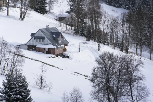 Морозна засніжена країна з будинками в сонячний зимовий день — стокове фото