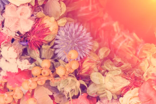 Bela composição floral — Fotografia de Stock