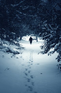 karlı ormanda yürüyen adam