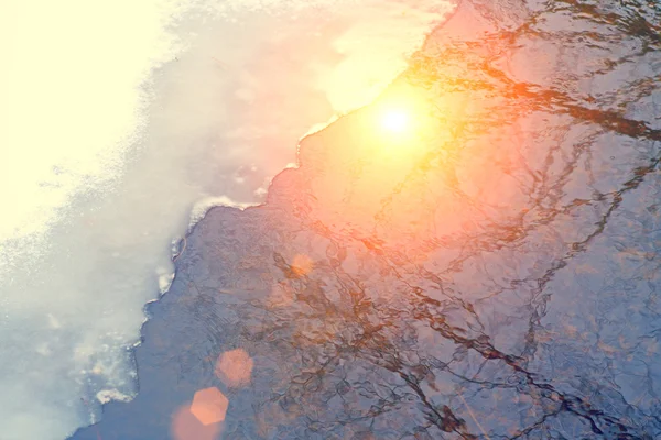 Reflectie van zon en bomen — Stockfoto