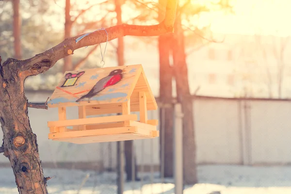 Vogelhuisje met geschilderde Goudvink — Stockfoto