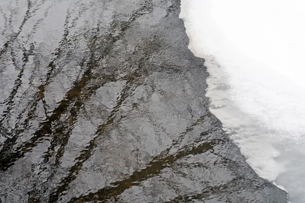 Reflection of trees in water — Stock Photo, Image