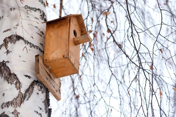 Vogelhuisje op berkenboom — Stockfoto