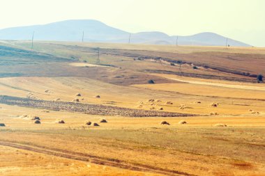 tarım alanları ve haystacks