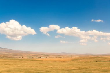 Sarı alan ve tepeler