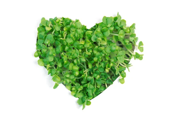 Heart made of green shoots — Stock Photo, Image