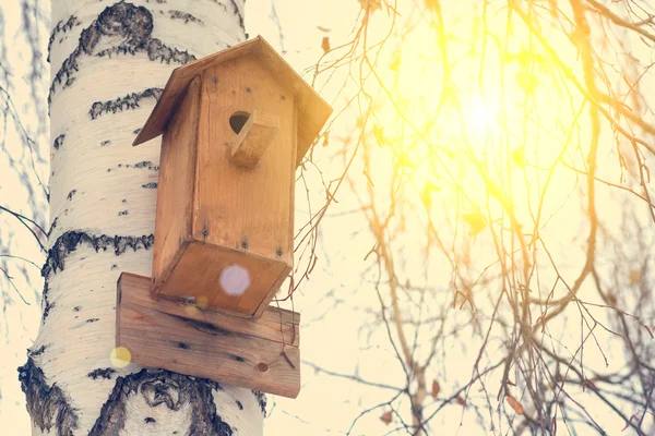 Birdhouse em árvore de vidoeiro — Fotografia de Stock