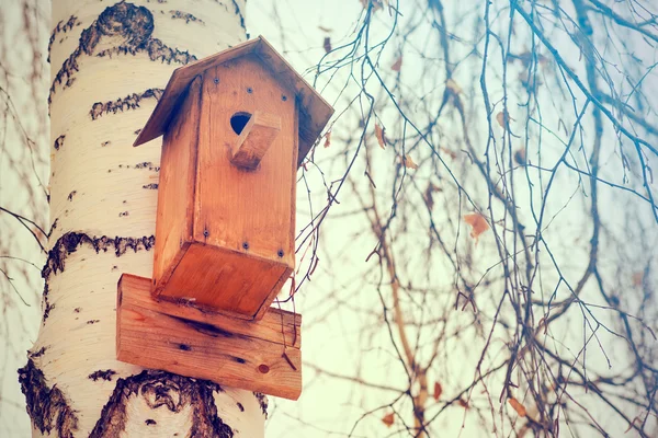 Birdhouse em árvore de vidoeiro — Fotografia de Stock