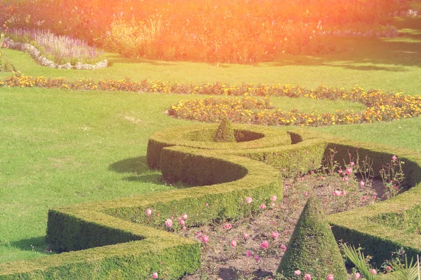 Detaliu de gazon cu pat de flori — Fotografie, imagine de stoc