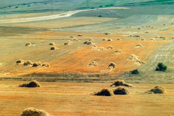 Сельскохозяйственные поля и стоги сена — стоковое фото