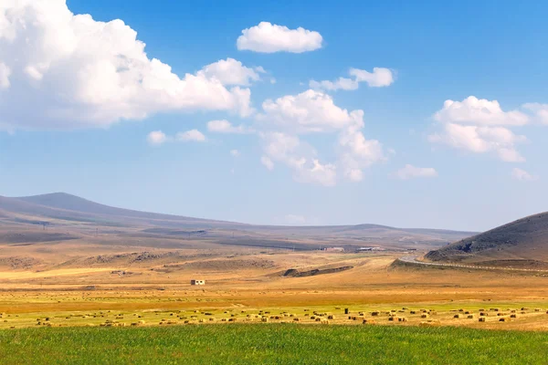 Hills, green field, haystacks — Stock Photo, Image