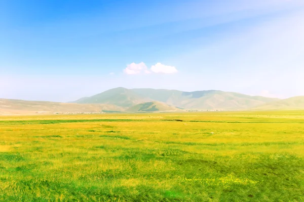 緑の草原と丘 — ストック写真