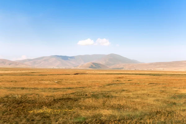 Campo amarillo y colinas — Foto de Stock