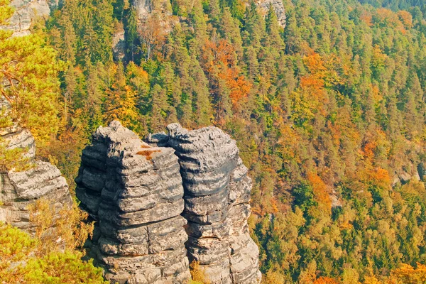 Felsen auf dem Hintergrund des Waldes — Stockfoto