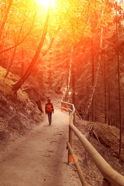 Passerella con recinzione in legno — Foto Stock