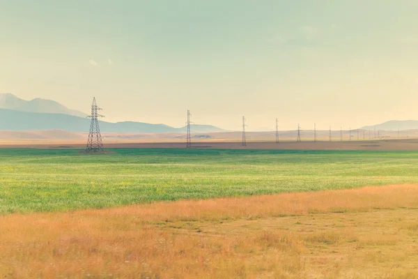 Campo amarillo y verde — Foto de Stock