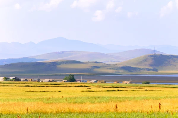 Yellow field and hills — Stock Photo, Image