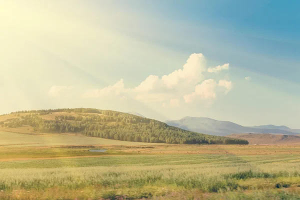 Campo verde e colline — Foto Stock