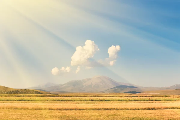 Campo amarillo y colinas — Foto de Stock