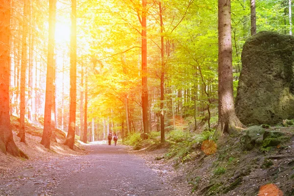 Yürüme yolu ve insanlar