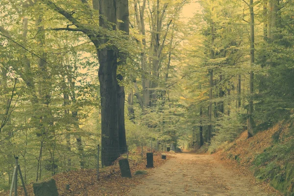 Wandelpad met een metalen hek — Stockfoto