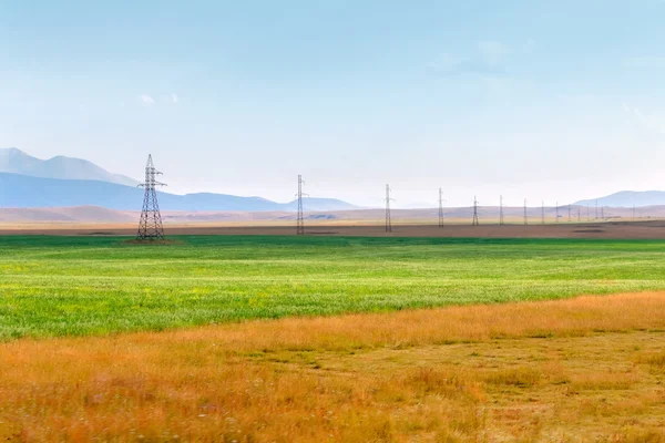 Campo amarillo y verde — Foto de Stock