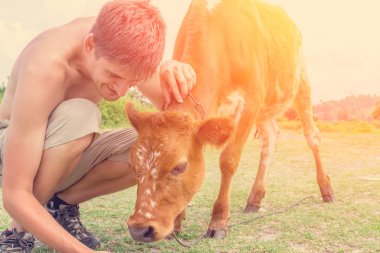 Adamın yanına kırmızı buzağı 