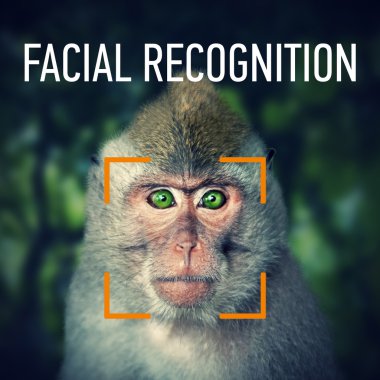 Sevimli maymun surat