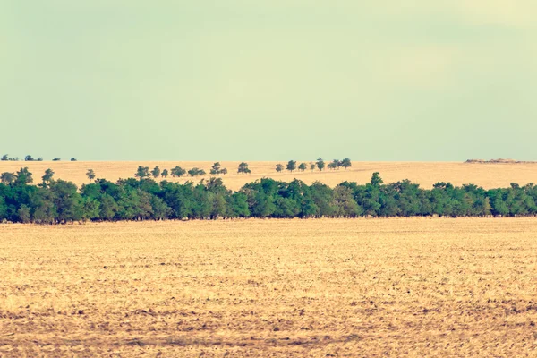 Campos agrícolas e árvores — Fotografia de Stock