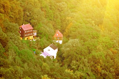 Orman arasında küme evleri