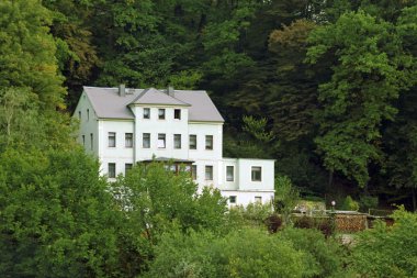 Ormandaki beyaz yazlık