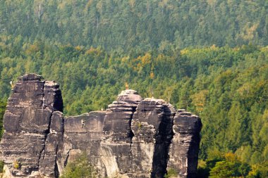 Orman tarafından çevrili kaya