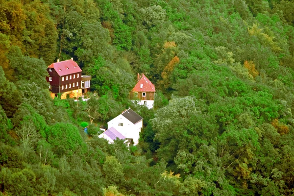 Houses set among forest — Stock Photo, Image