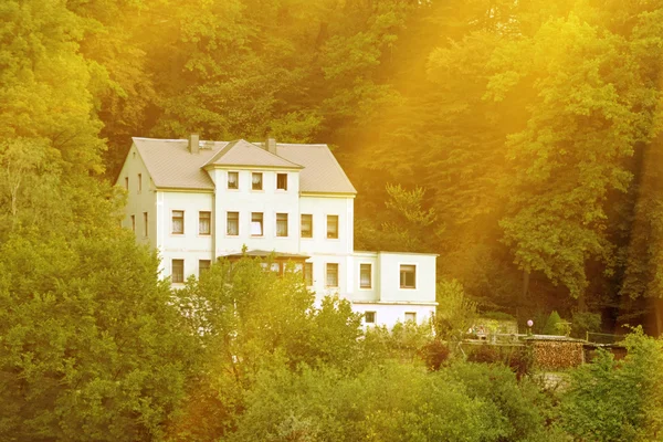 Ormandaki beyaz yazlık