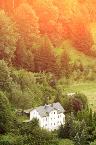 Ormandaki beyaz yazlık