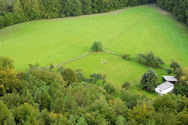 Ülke evi orman ve yeşil alanları